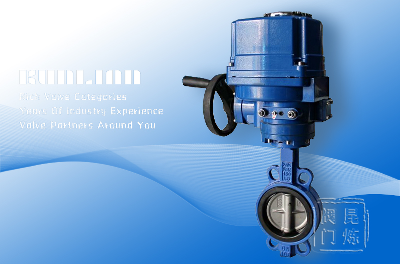 FD971X/F防爆電動(dòng)對(duì)夾蝶閥 FD971X/F防爆電動(dòng)對(duì)夾蝶閥