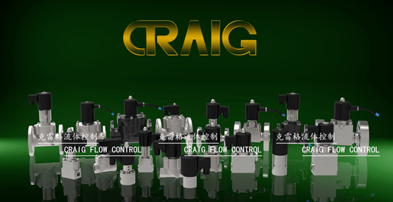 CRAIG高溫電磁閥 CRAIG高溫電磁閥